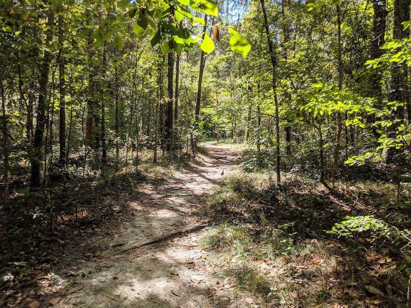 A Landscape Shaped by Ancient Geology