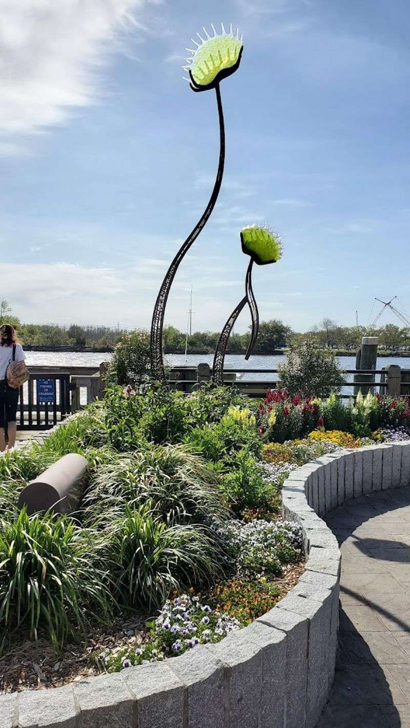 Public Art Installations