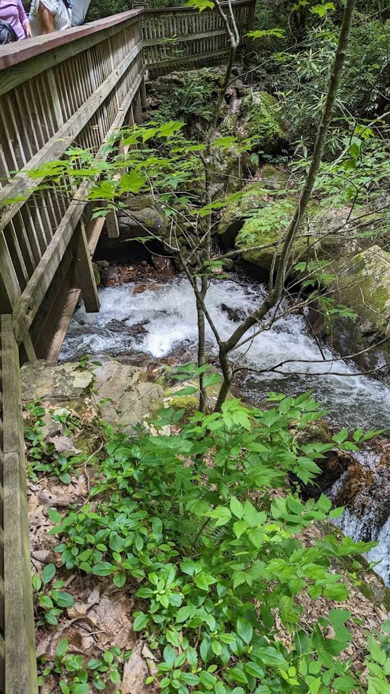 Anna Ruby Falls Trail