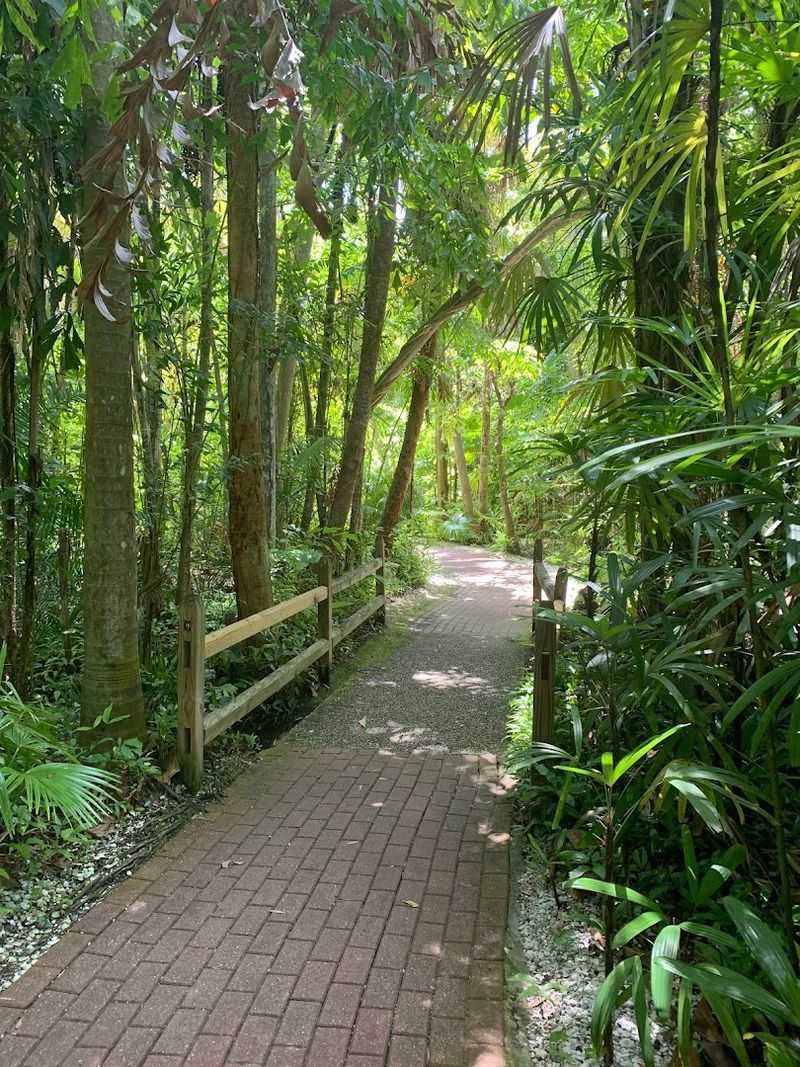 Lush Tropical Botanical Gardens
