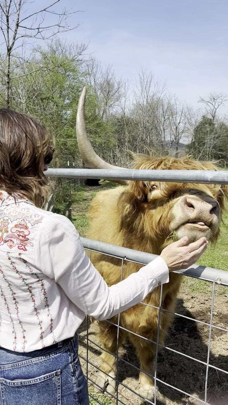 What to Wear and Seasonal Comfort