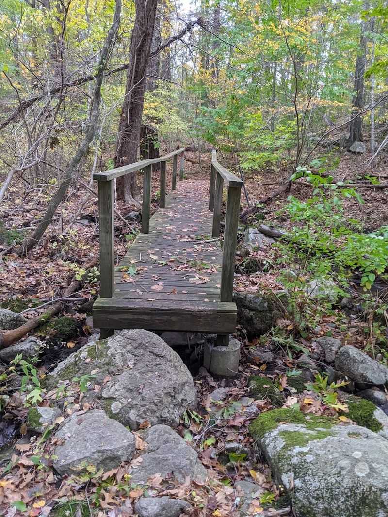 Whitney and Thayer Woods