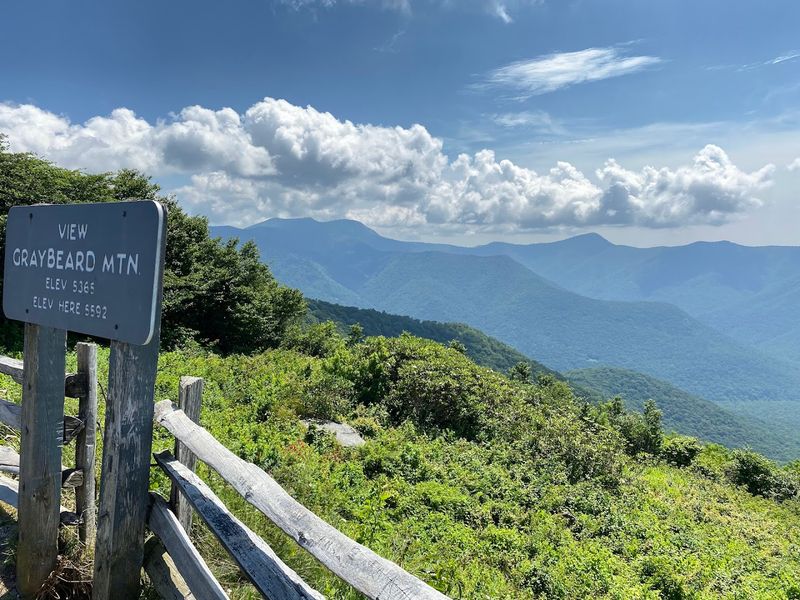 Mount Mitchell State Park Trails