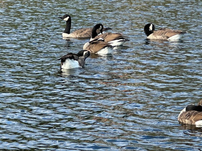 Make It A Mini Day Out