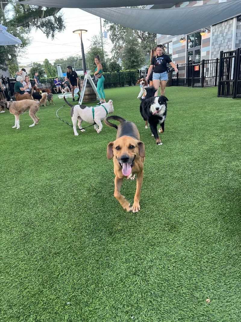 Visitor Info and Tips for Planning Your Trip