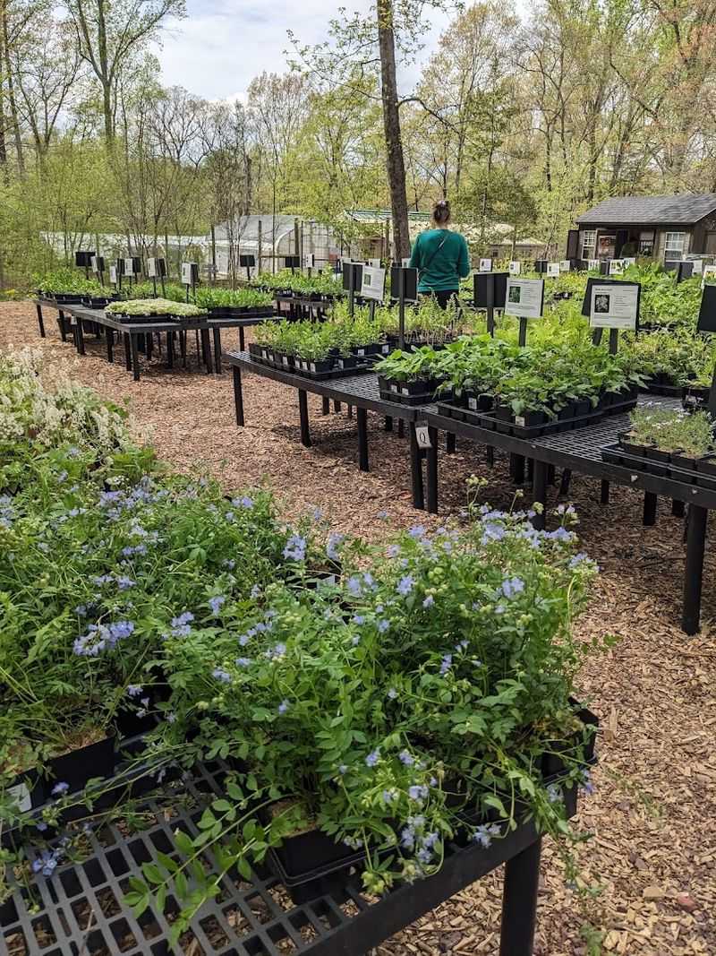 Rich History Rooted in Conservation