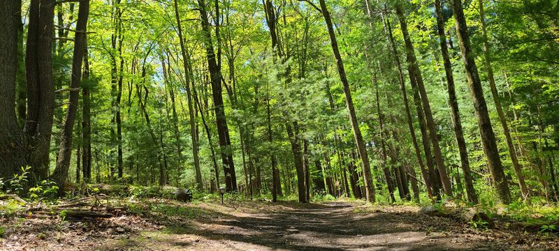 Outdoor Adventures Right Outside Your Door