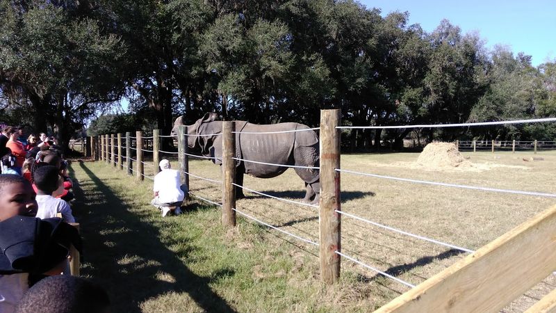 The 70-Acre Sanctuary: Conservation on a Grand Scale