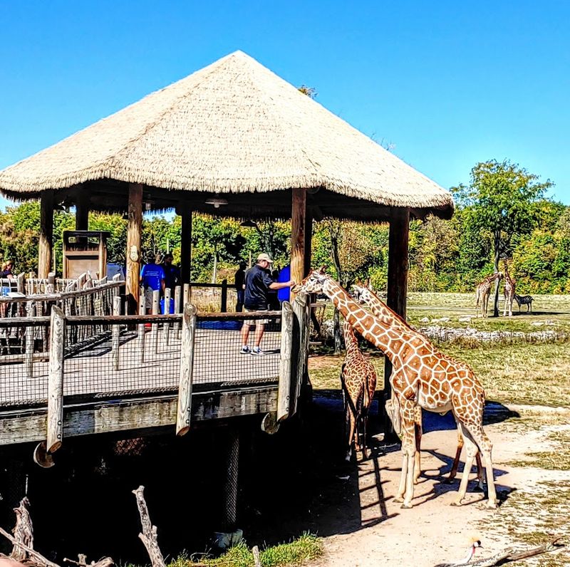 Conservation and Education Mission