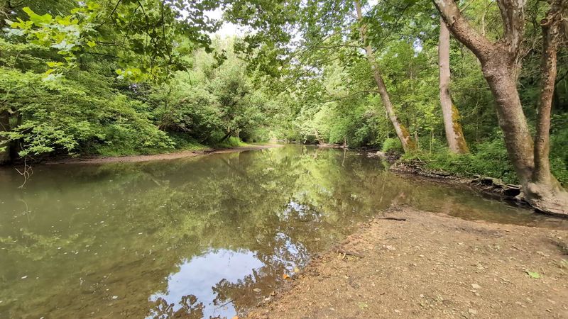 Walk the Trails at Glen Helen Nature Preserve (Yellow Springs, Ohio)