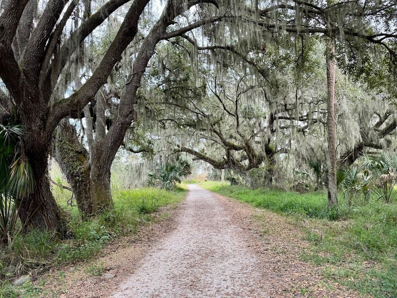 Scenic Trails Through Untouched Wetlands