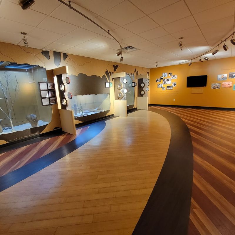 The Interpretive Building Experience