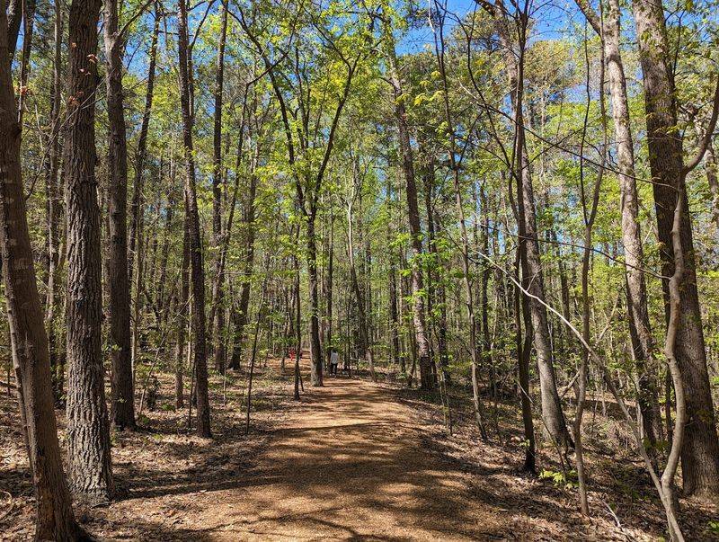 Fall Foliage Season: Why Autumn Is the Best Time to Visit