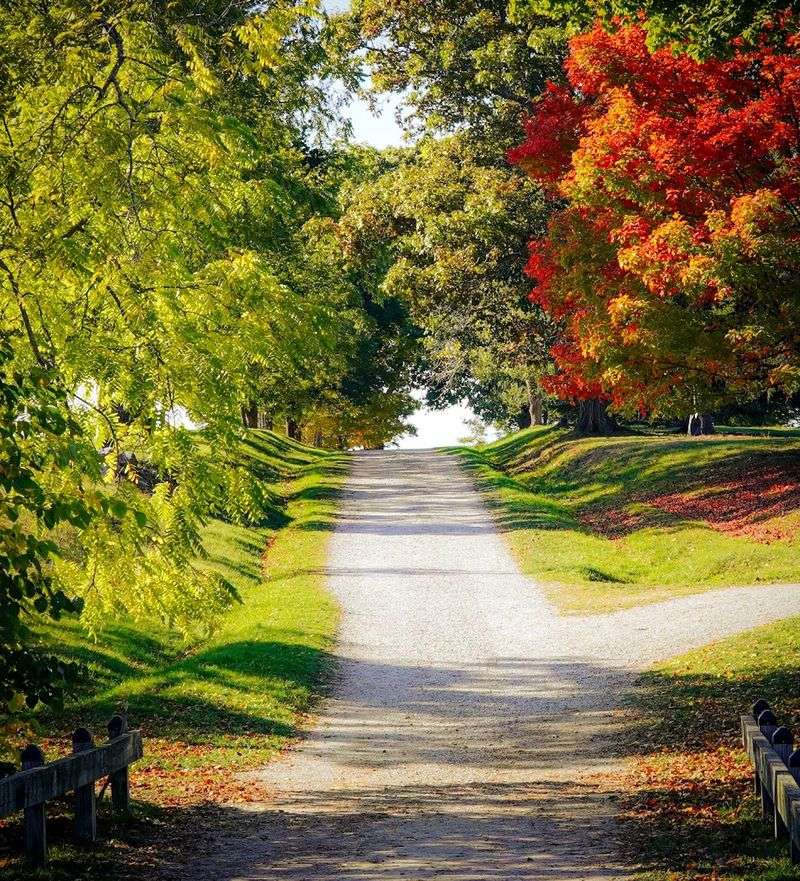 Seasonal Highlights: What to Expect Throughout the Year