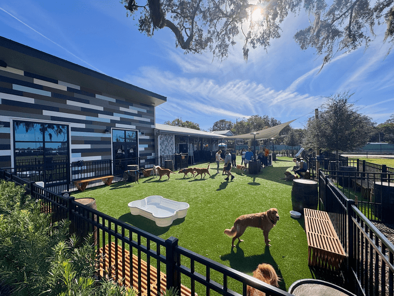 A One-of-a-Kind Dog Park + Bar Concept