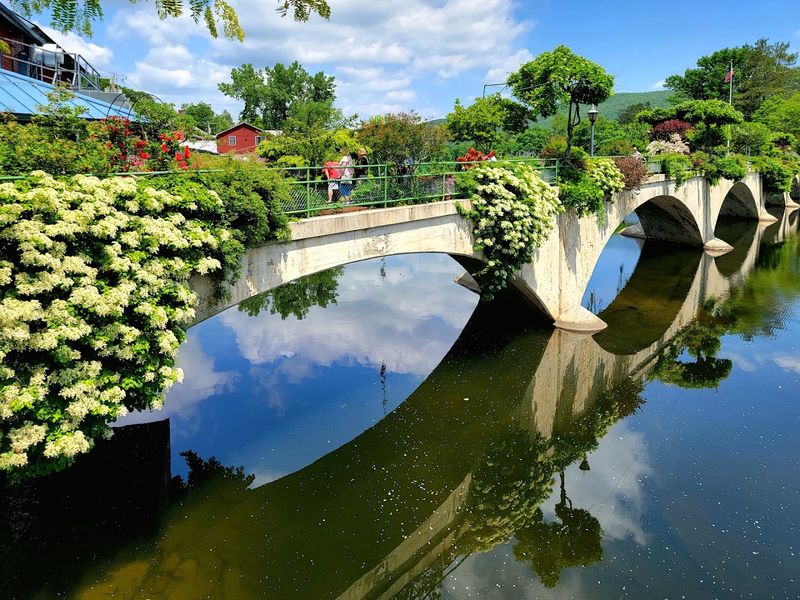 Photography on the Bridge: What Actually Makes a Good Shot