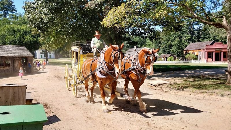 Costumed Historians Bring the Past to Life