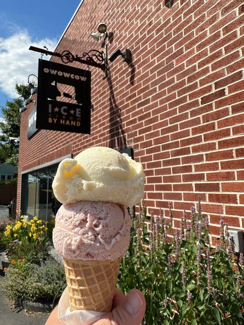 Owowcow Creamery (Ottsville)