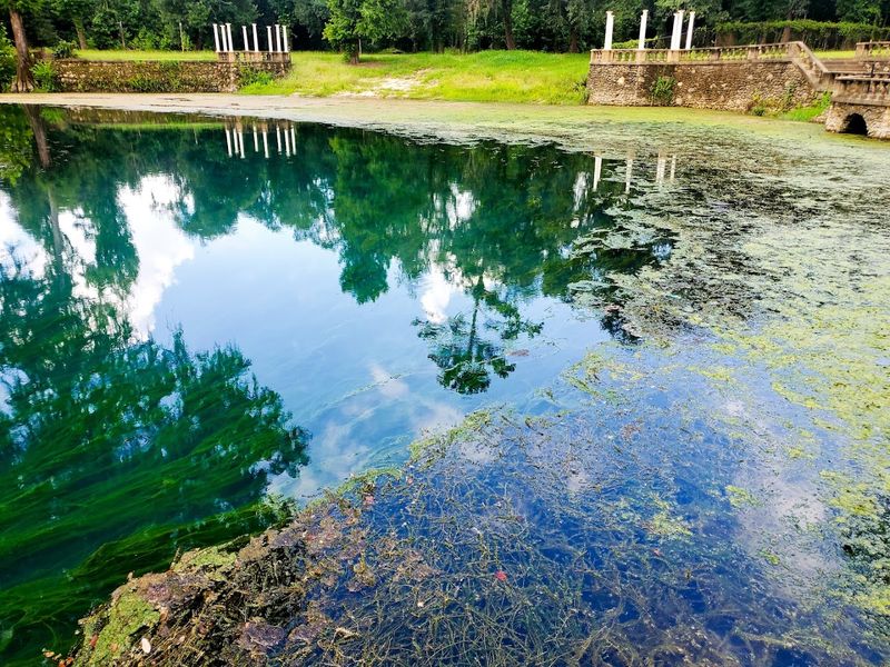 Radium Springs Gardens