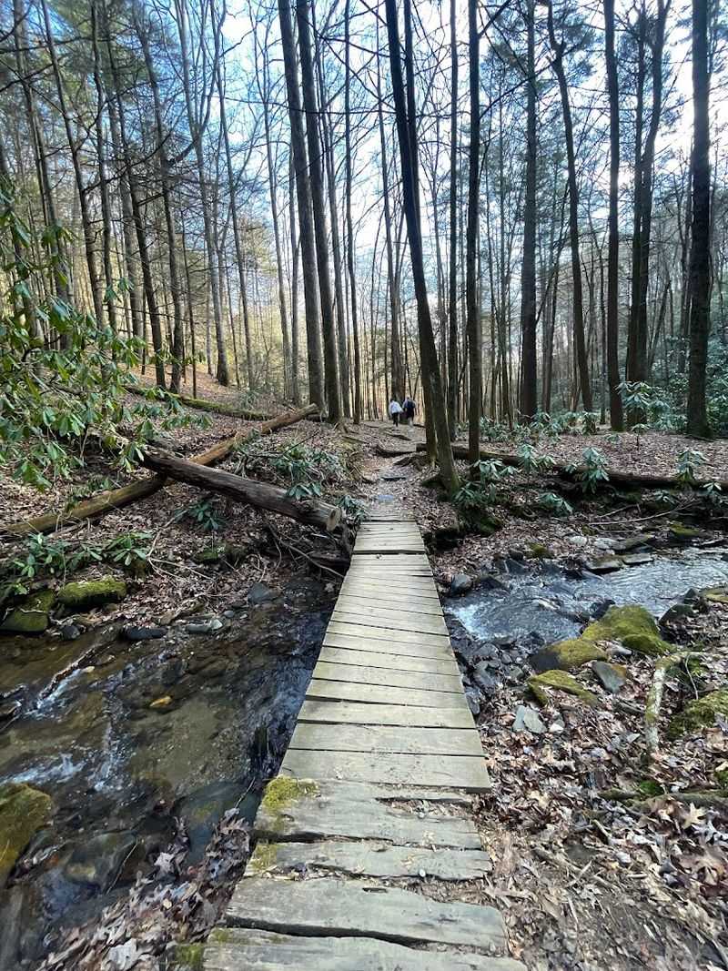 Raven Cliff Falls Trail