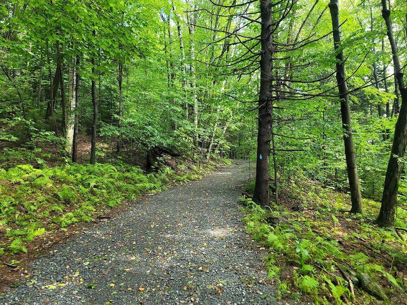 Spring Hike at Mount Greylock State Reservation