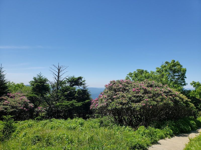 For Adventurers: One of the Best Hikes on the Appalachian Trail