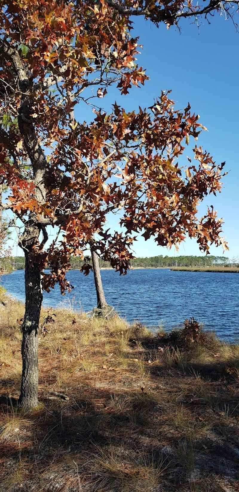 Endless Exploration Beyond Marked Trails