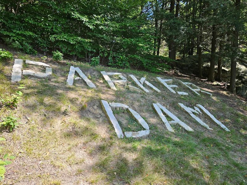 A Gateway to the Vast Moshannon State Forest