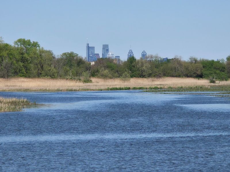 Where Wetland Calm Meets Philadelphia Skyline Views