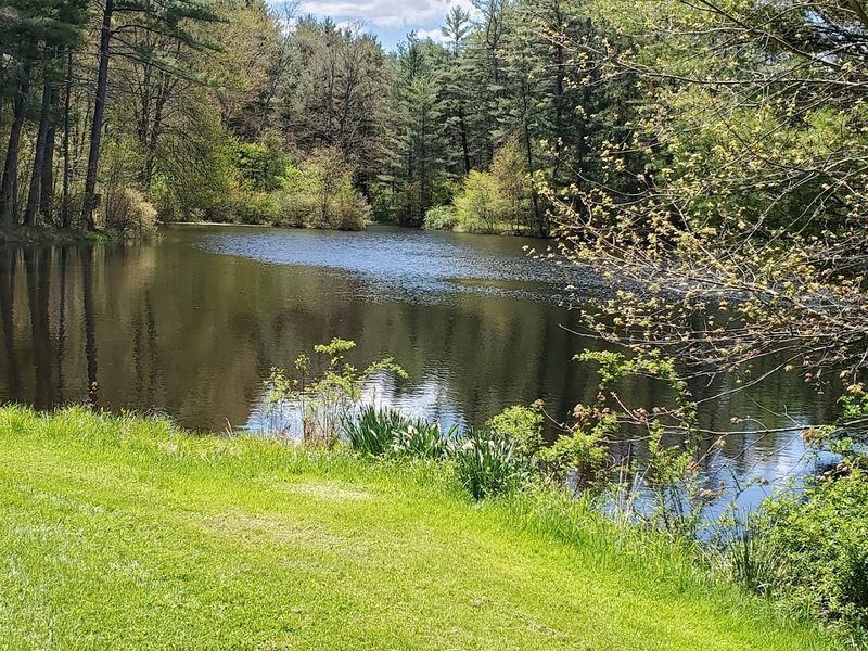 A Peaceful Landscape of Forests, Fields, and Water