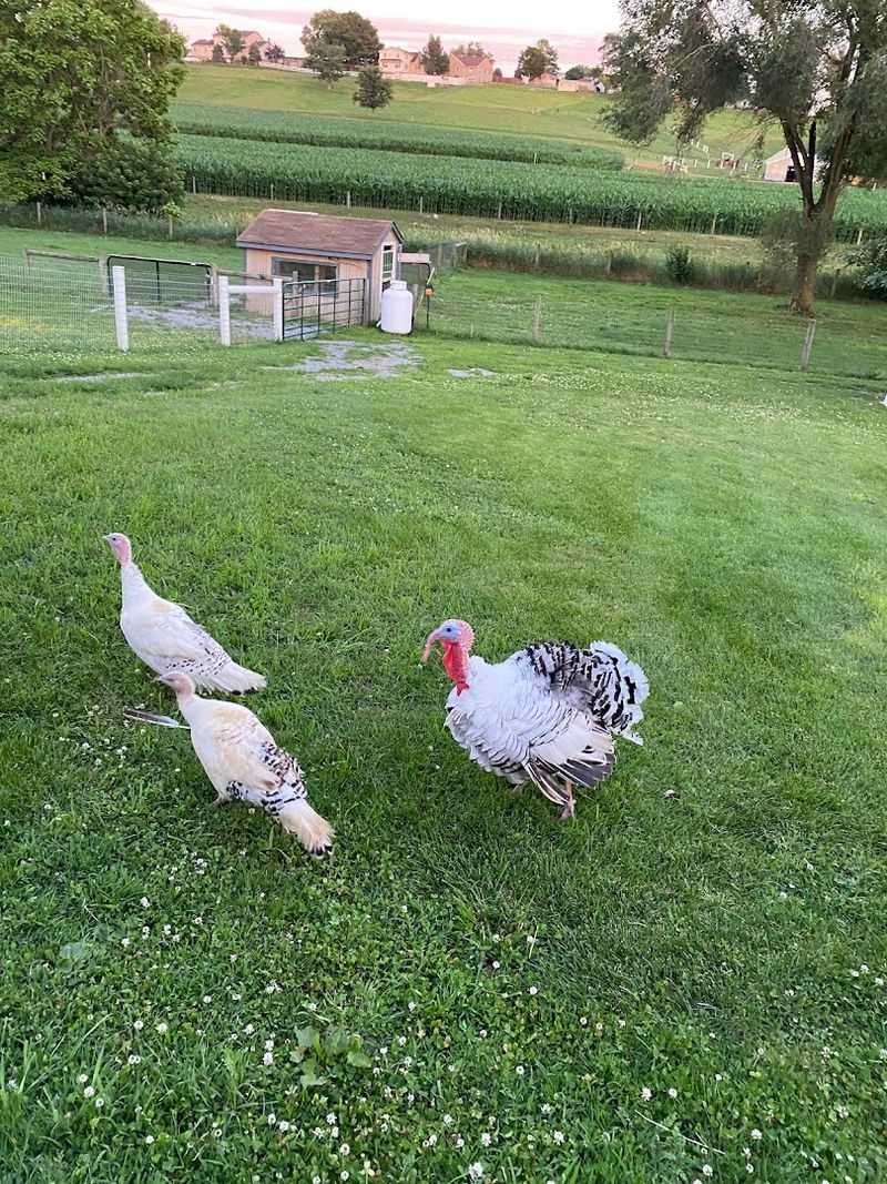 Beacon Hollow Farm Guesthouse (Gordonville, Lancaster County)