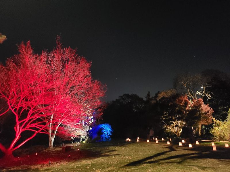 Moonlight in the Garden Night Event