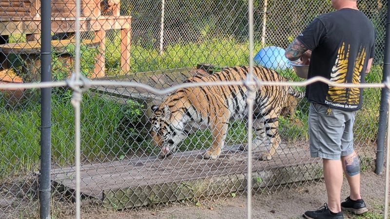 Visitor Tips for the Best Experience