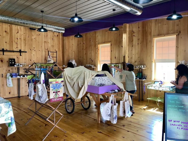 Charming Gift Shop Filled With Lavender Treasures