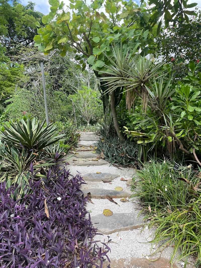 Peaceful Walking Paths Winding Through Exotic Landscapes