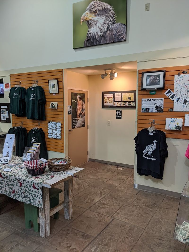 The Gift Shop and Supporting Conservation