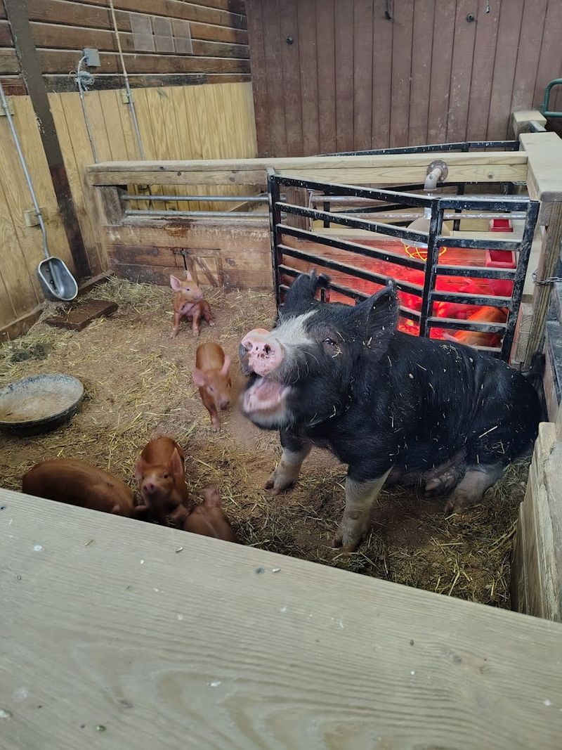 Visitor Info and Tips to Help You Plan the Perfect Trip