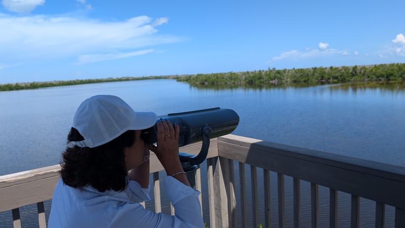 Observation Tower Panoramic Views