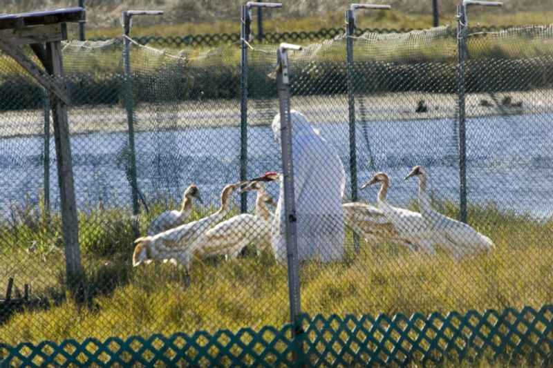 Chassahowitzka National Wildlife Refuge