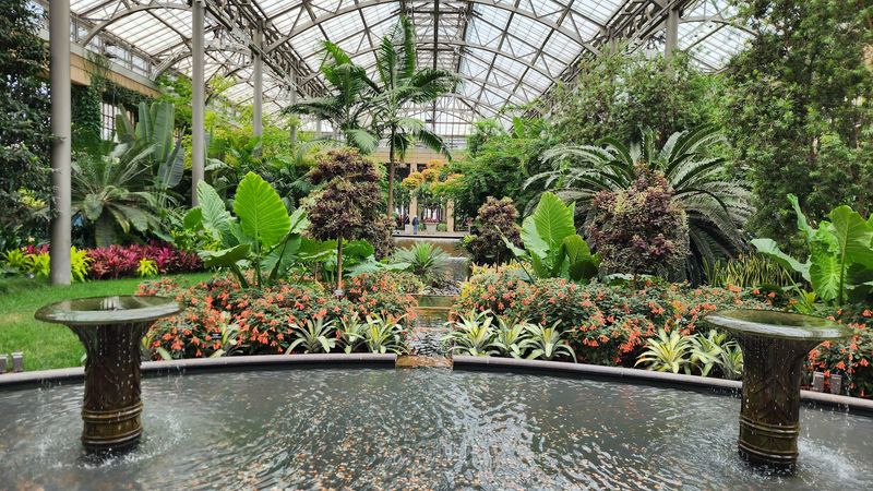 A Site That Was Once Low and Marshy