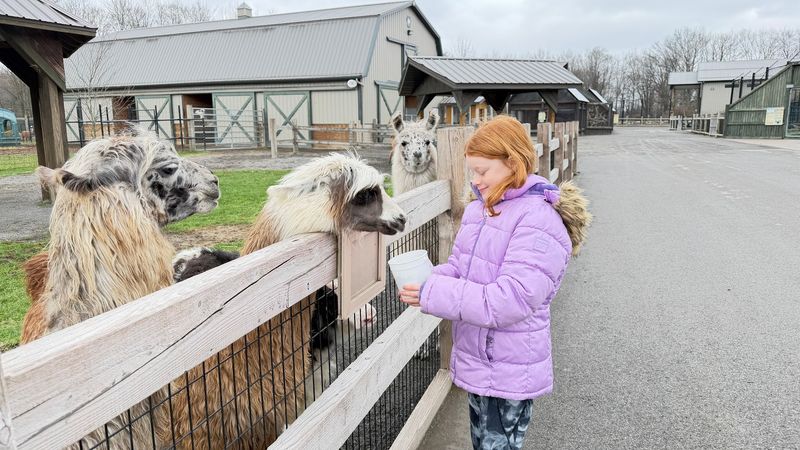 Keystone Safari (Grove City, PA)