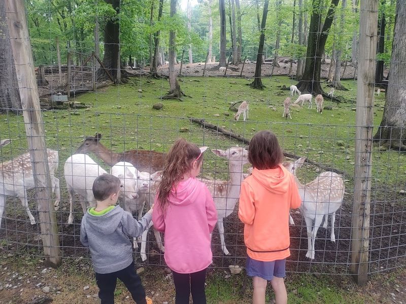 Pymatuning Deer Park