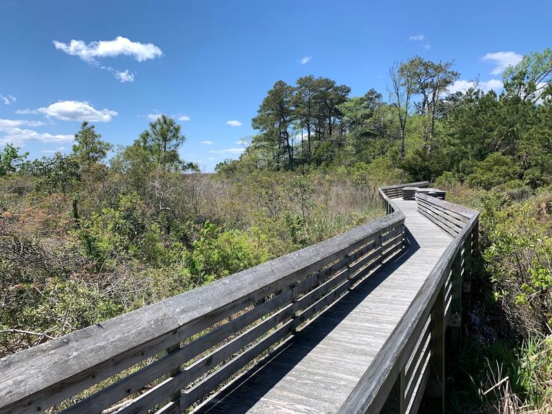 Nags Head Woods Preserve Boardwalk, Kill Devil Hills