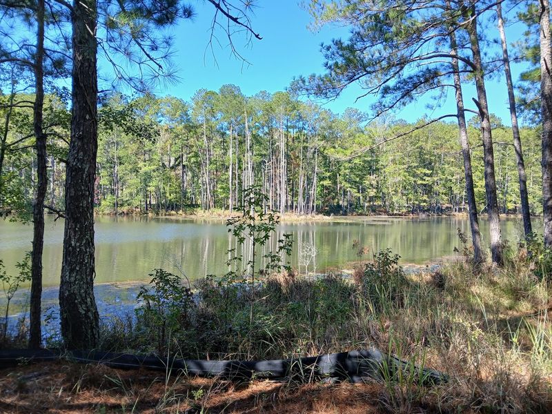 Water Features &ndash; Rivers, Wetlands & Waterfall