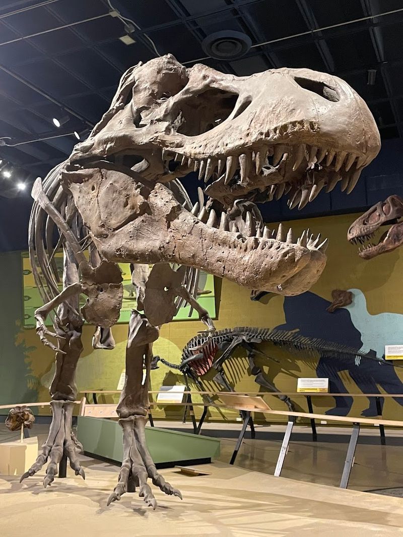 Discover Dinosaurs at Cleveland Museum of Natural History (Cleveland, Ohio)