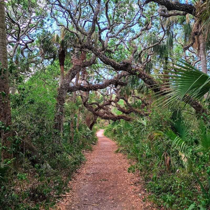 Hiking and Nature Trails Through Florida's Wild Interior
