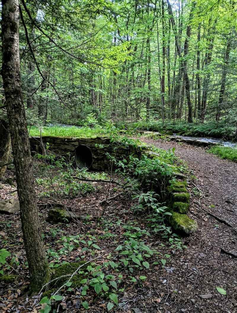 Ravensburg State Park (Jersey Shore)