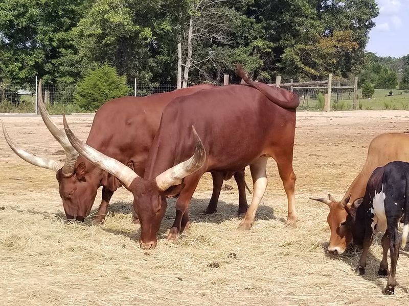 Best Times To Visit And Beat The Crowds