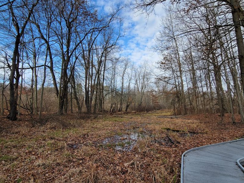 Reading the Signs: A Self-Guided Class