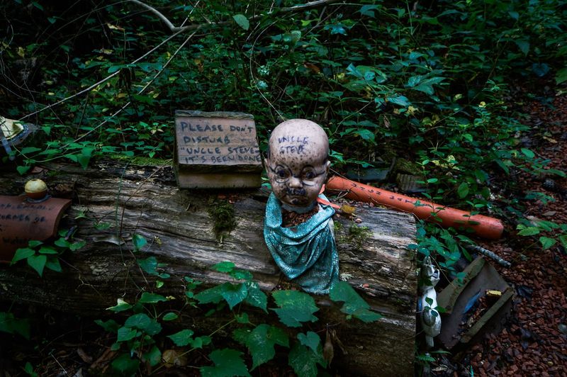 Doll&rsquo;s Head Trail